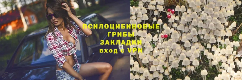 Галлюциногенные грибы MAGIC MUSHROOMS  Балей 